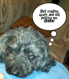 With Captioner adding text to dog photo saying She's reading again and not petting me. GRRRR!