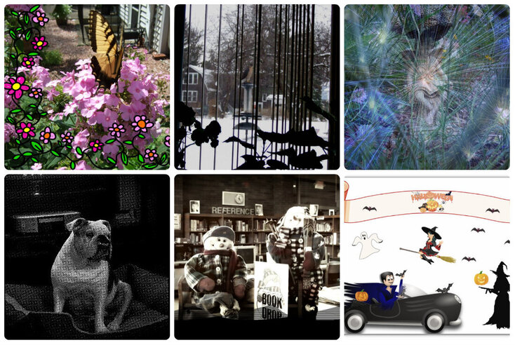 A collage of images done in Mara including butterfly on phlox, hawk on bird feeder statue, bulldog, library image and Halloween stickers